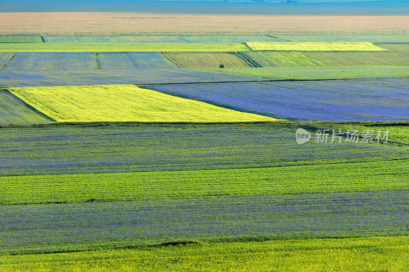 Piano Grande di Castelluccio，位于绿色山丘上的村庄，意大利